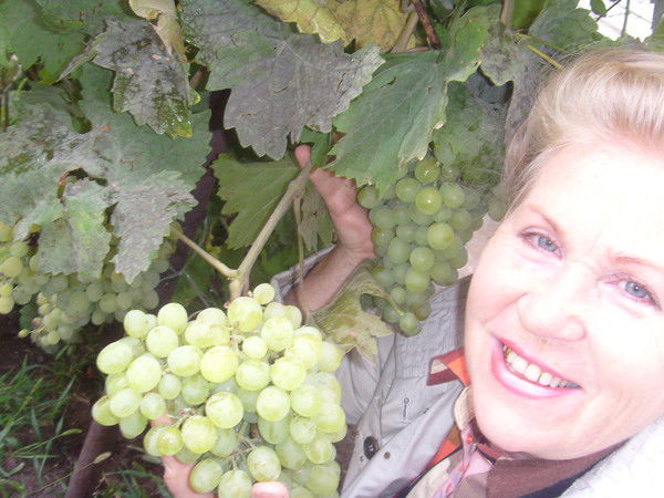 Людмила Крамчанина