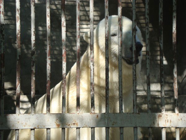 Анюта **********