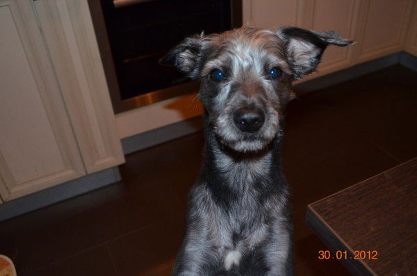 Ксения Абрамова