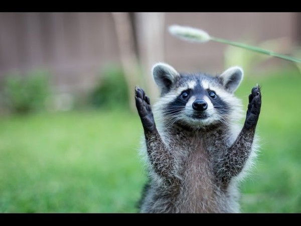 Евгения Герасименко