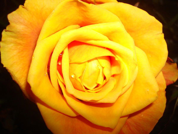 Александра ******