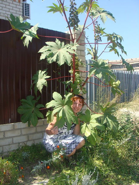 Эльвира Вагапова