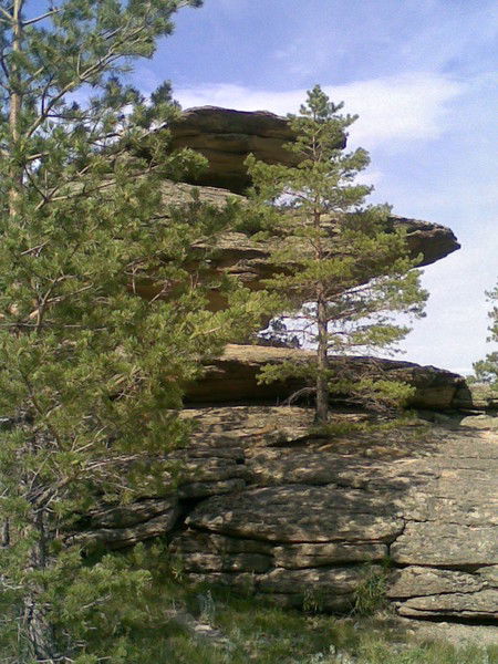 Александр Чуб