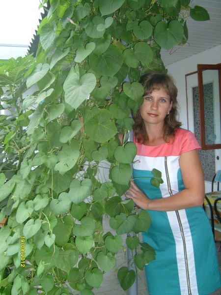 Наталья Шабаршова