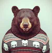 Стас Гудима