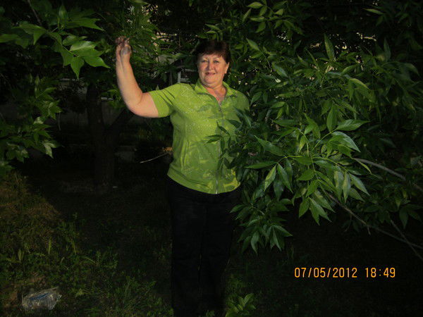 Светлана Салова (Ермолаева)