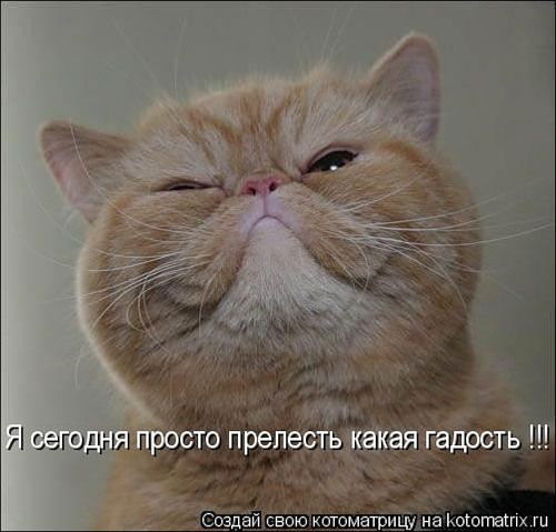 Александр Т