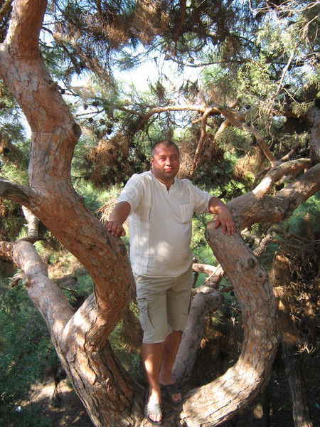 Сергей Малахов