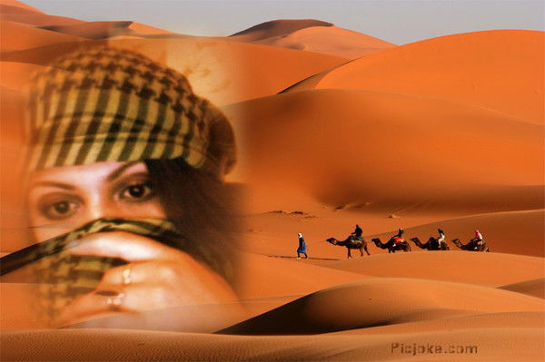 Serdse_2006.85 Serdse_2006.85