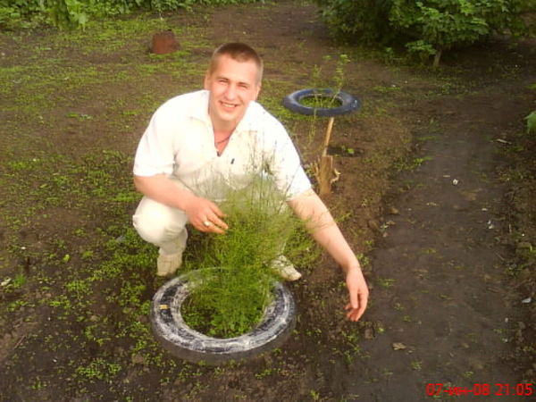 Виталий Фельдшеров