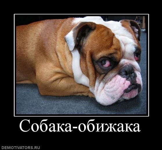 Леонид Валиков