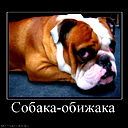 Леонид Валиков