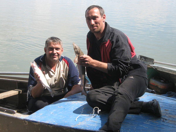 Алексей Ганженко