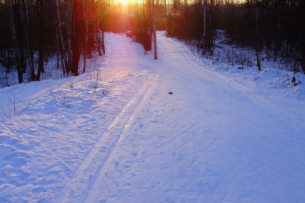 Елена Нефедова