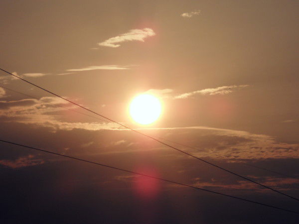 Лиза Ларина