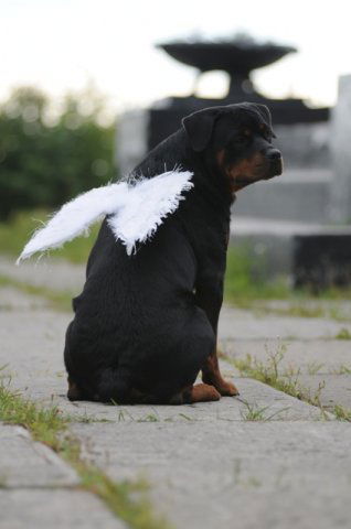 Натусик Натусик