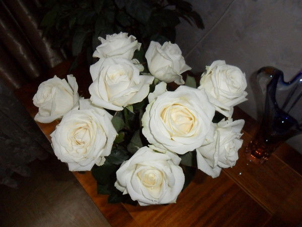 Тамара Хаипова