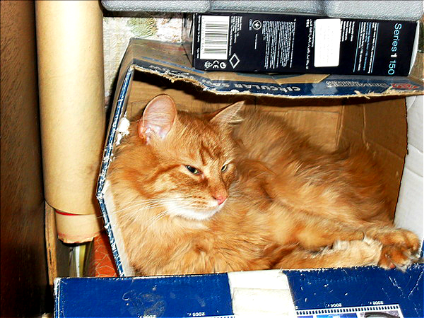 Андрей Смирнов