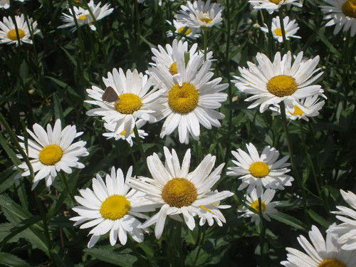 Неизвестно Неизвестно