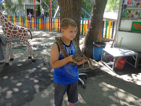 Максим Токарев