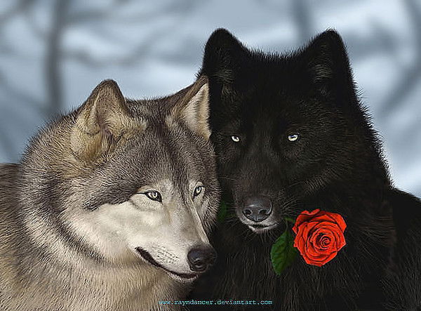 Рано Рустамова