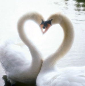 Сергей Ионкин