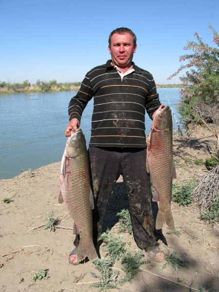 Дмитрий Анатольевич