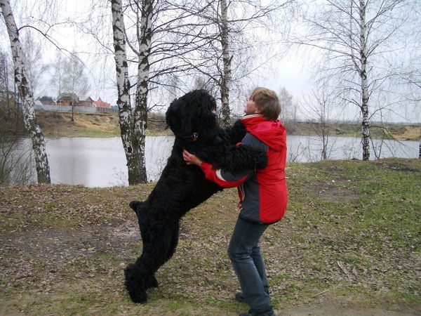 Наталья Кармадонова