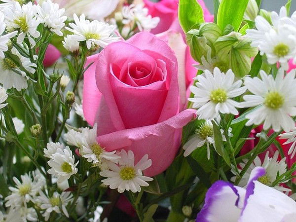 Назгуль Бердикулова