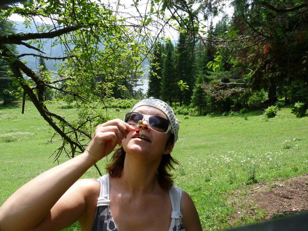 Елена Зимина