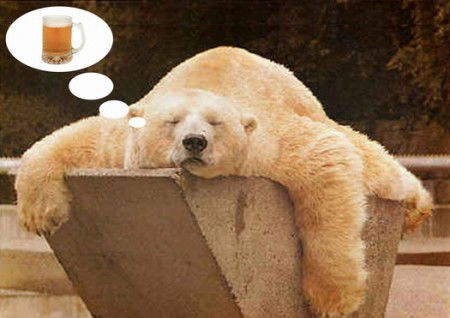 Доктор Зф Айболит