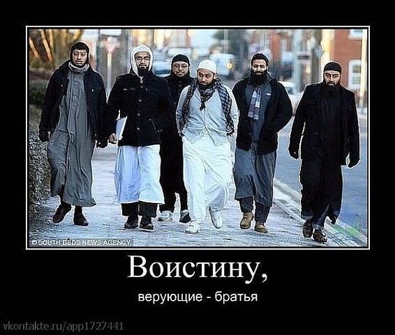 Микаил Магомедов