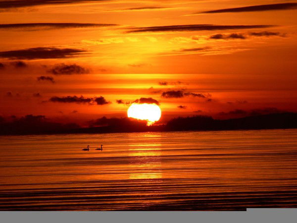 Алёна Ахматова