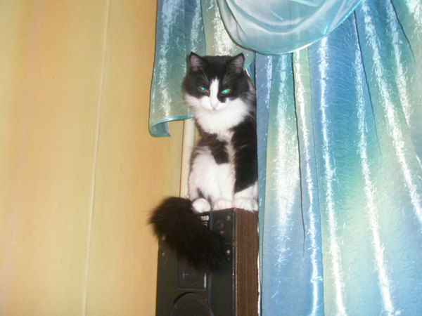 Константин Казаретин