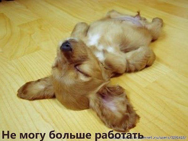 Максат Нурасилов