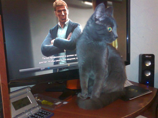 Александр Гостев