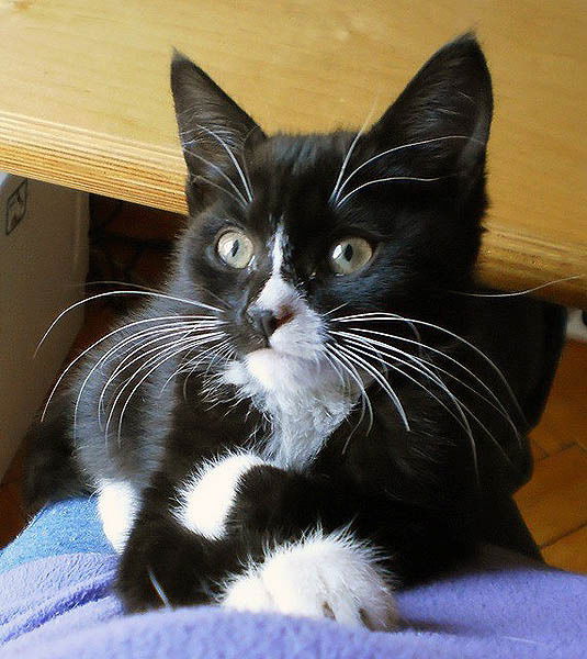 Нургуль Айдабулова