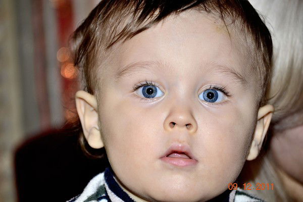 Николай Никифоров