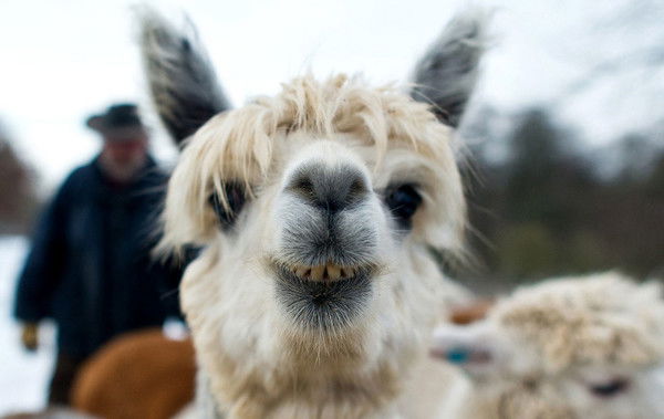 Игорь Кузьменко