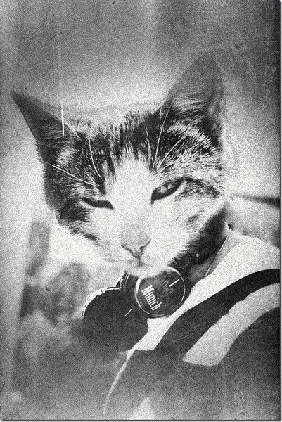 Андрей Макеев