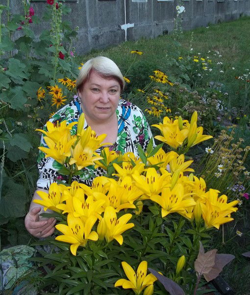 Алла Бабина