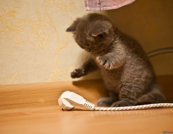 Жанель Есмагамбетова