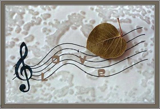 Вероника Серебренникова