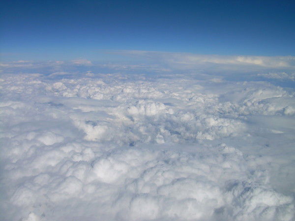 Светлана Шведова