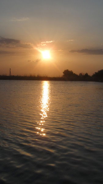 Юлия Виницкая