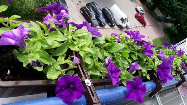 Наталья Коваленко