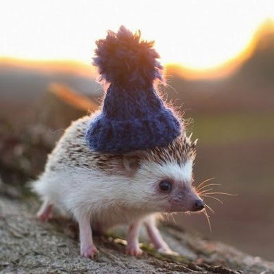 Дмитрий Райков