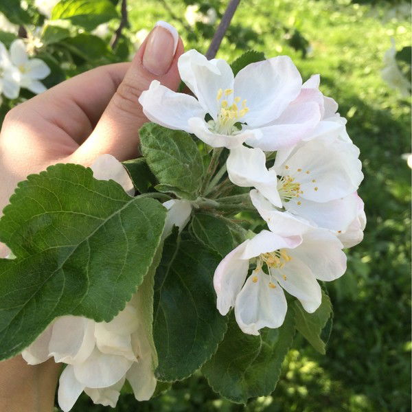 Кристина Морозова