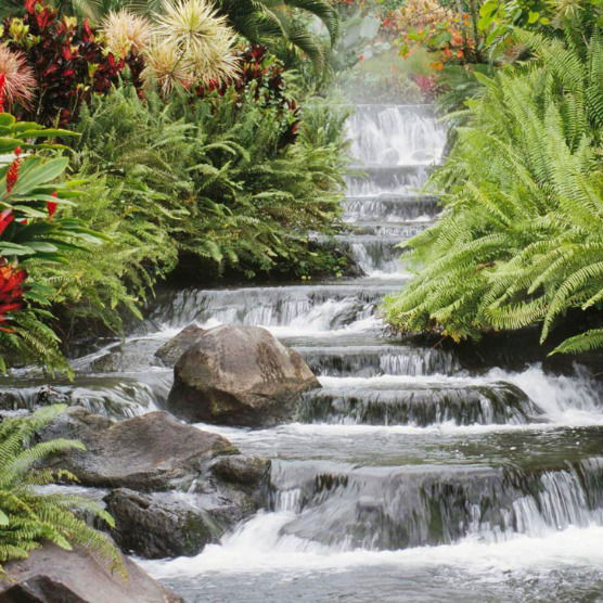 Татьяна Александрова