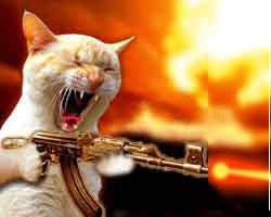 Дмитрий Белоусов